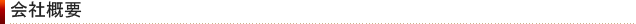 company_stit01